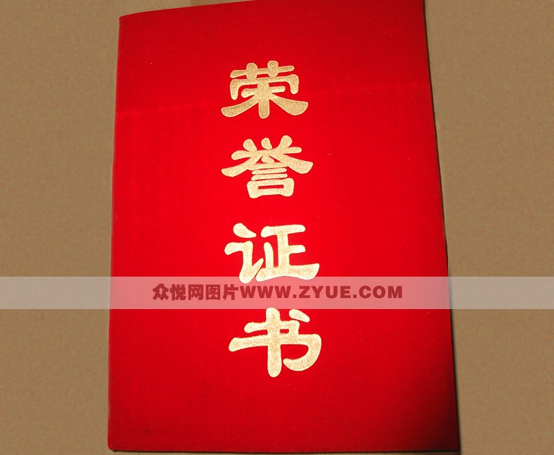 平安驾校教练荣誉证书2